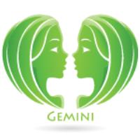 Zodiac sign for Gemini